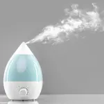 L'importanza di usare l'umidificatore a casa