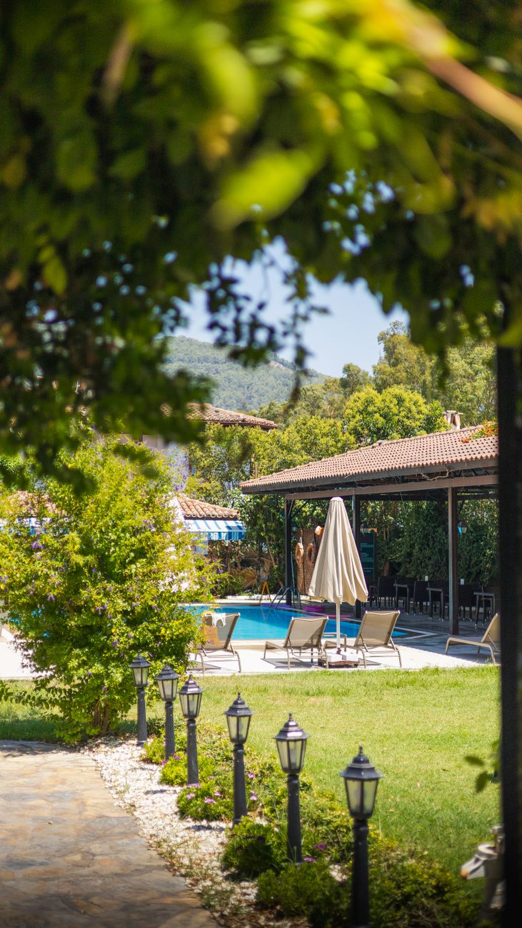Come usare le bordure per trasformare il tuo giardino in uno spazio ordinato e accogliente