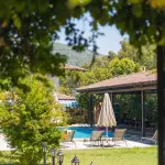 Come usare le bordure per trasformare il tuo giardino in uno spazio ordinato e accogliente