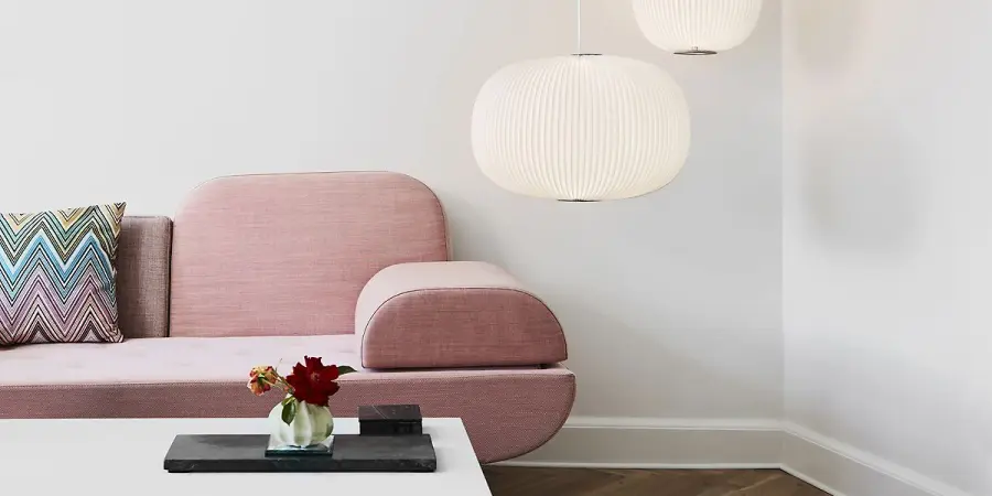 Grigio a casa, ecco cosa sapere